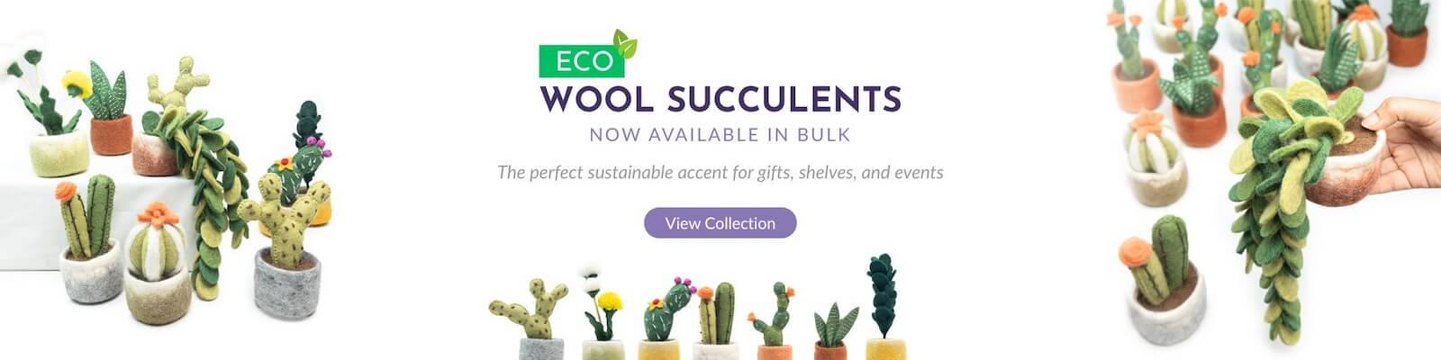 Felt Succulents & Cactus Plants